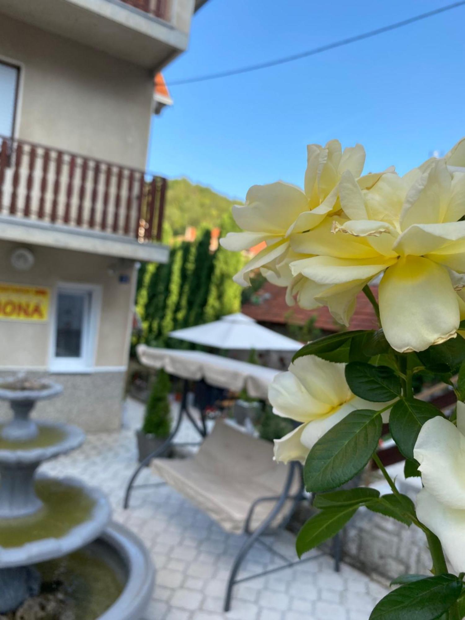 Appartement avec 2 chambre Ni Extérieur photo